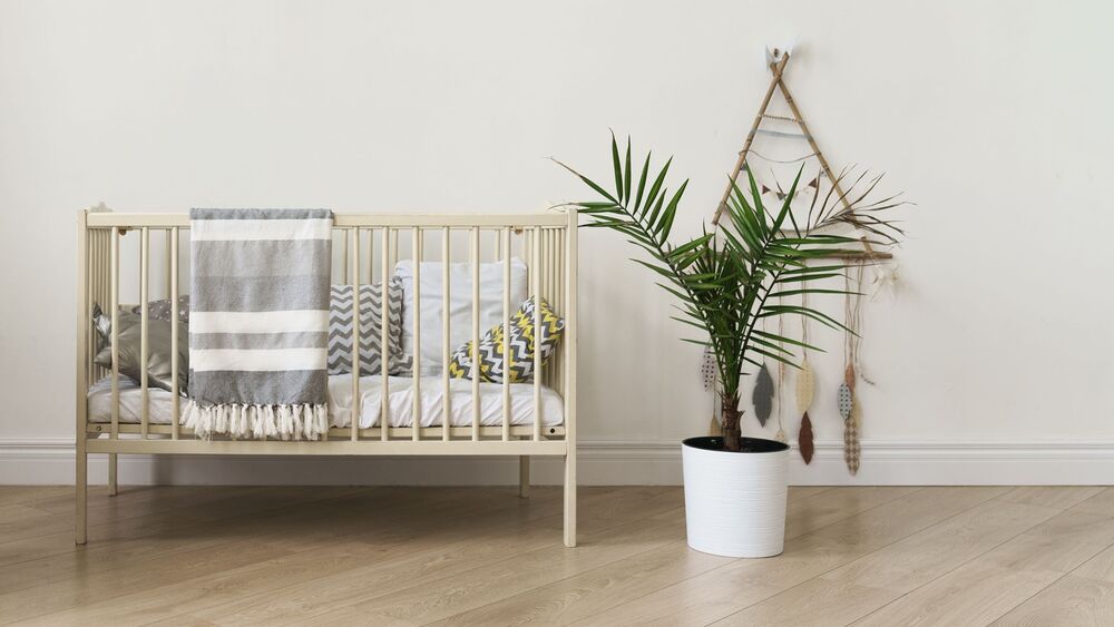 New born baby cot bed and indoor palm in a pot